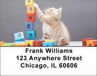 Kittens At Play Address Labels | LBEVC-65