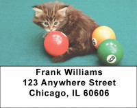 Kittens At Play Address Labels | LBEVC-65