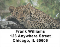 Lone Leopards Address Labels | LBEVC-68