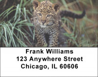 Lone Leopards Address Labels | LBEVC-68