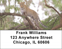 Lone Leopards Address Labels | LBEVC-68