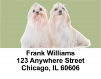 Maltese Dog Address Labels | LBEVC-70