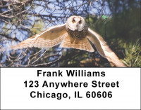 Owl Flight Address Labels | LBEVC-76