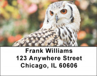 Owls Address Labels | LBEVC-77