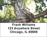 Owls Address Labels | LBEVC-77