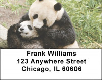 Panda Bears Address Labels | LBEVC-78