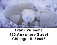 Precious Polar Bear Cubs Address Labels | LBEVC-80