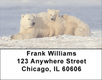 Precious Polar Bear Cubs Address Labels | LBEVC-80