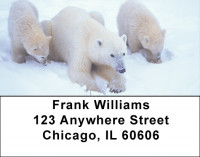 Precious Polar Bear Cubs Address Labels | LBEVC-80