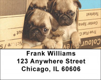 Pug Mugs Address Labels | LBEVC-81