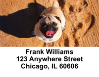 Pug Mugs Address Labels | LBEVC-81