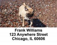 Pug Mugs Address Labels | LBEVC-81