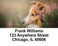 Sheltie Dog Address Labels | LBEVC-86