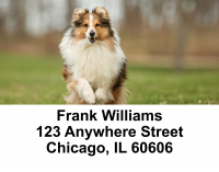 Sheltie Dog Address Labels | LBEVC-86