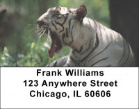 Tigers Address Labels | LBEVC-92