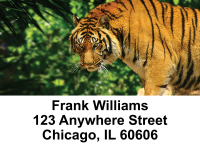 Tigers Address Labels | LBEVC-92