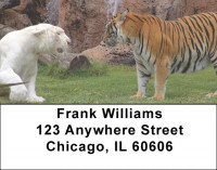 Tigers Address Labels | LBEVC-92