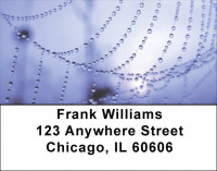Web of Life Address Labels | LBEVC-95