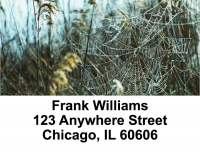 Web of Life Address Labels | LBEVC-95
