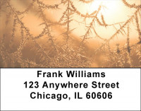 Web of Life Address Labels | LBEVC-95