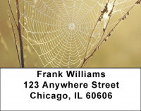 Web of Life Address Labels | LBEVC-95
