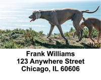 Weimaraner Dog Address Labels | LBEVC-96