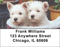 Westie Dog Address Labels | LBEVC-97
