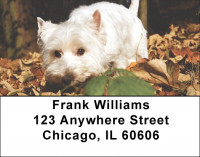 Westie Dog Address Labels | LBEVC-97