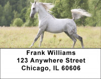 White Stallions Address Labels | LBEVC-98