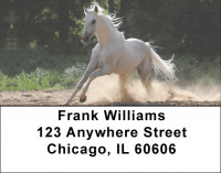 White Stallions Address Labels | LBEVC-98
