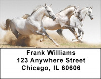 White Stallions Address Labels | LBEVC-98
