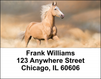 Wild Horses Address Labels | LBEVC-99