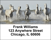 Wild Horses Address Labels | LBEVC-99