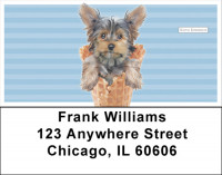 Coney Pups Keith Kimberlin Address Labels | LBKKM-04