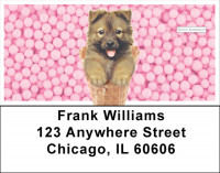 Coney Pups Keith Kimberlin Address Labels | LBKKM-04