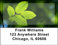 Foliage Address Labels | LBNAT-05
