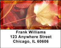 Foliage Address Labels | LBNAT-05