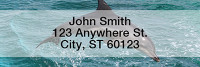 Dolphins Rectangle Address Labels | LRANI-19