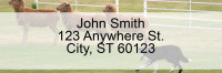 Border Collie at Work Rectangle Address Labels | LRDOG-46