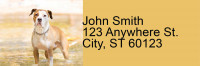 Bully Breed Appreciation Address Labels | LRRDOG-114