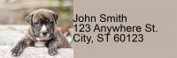 Pit Bull Pups Address Labels | LRRDOG-118