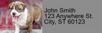 Pit Bull Pups Address Labels | LRRDOG-118