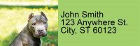 Pit Bull Pals Address Labels | LRRDOG-119