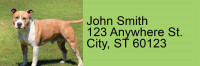 Pit Bull Pals Address Labels | LRRDOG-119