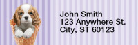 Gelato Pups Keith Kimberlin Rectangle Address Labels | LRRKKM-03