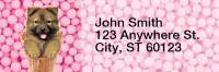 More Gelato Pups Keith Kimberlin Rectangle Address Labels | LRRKKM-04
