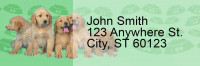 Golden Retriever Pups Keith Kimberlin Address Labels | LRRKKM-13