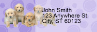 Golden Retriever Pups Keith Kimberlin Address Labels | LRRKKM-13