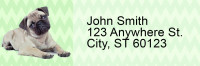 Pug Pups Keith Kimberlin Address Labels | LRRKKM-30