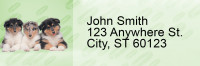 Collie Pups Keith Kimberlin Address Labels | LRRKKM-33